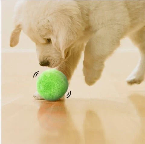TrimMaster™ Pelota Interactiva para Perro