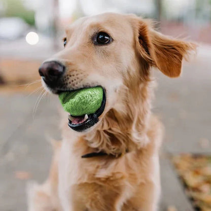 TrimMaster™ Pelota Interactiva para Perro