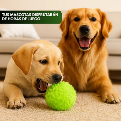 TrimMaster™ Pelota Interactiva para Perro
