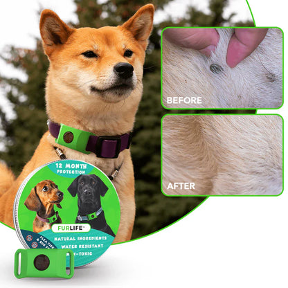 FurCare™ Eliminador Natural Antipulgas y garrapatas